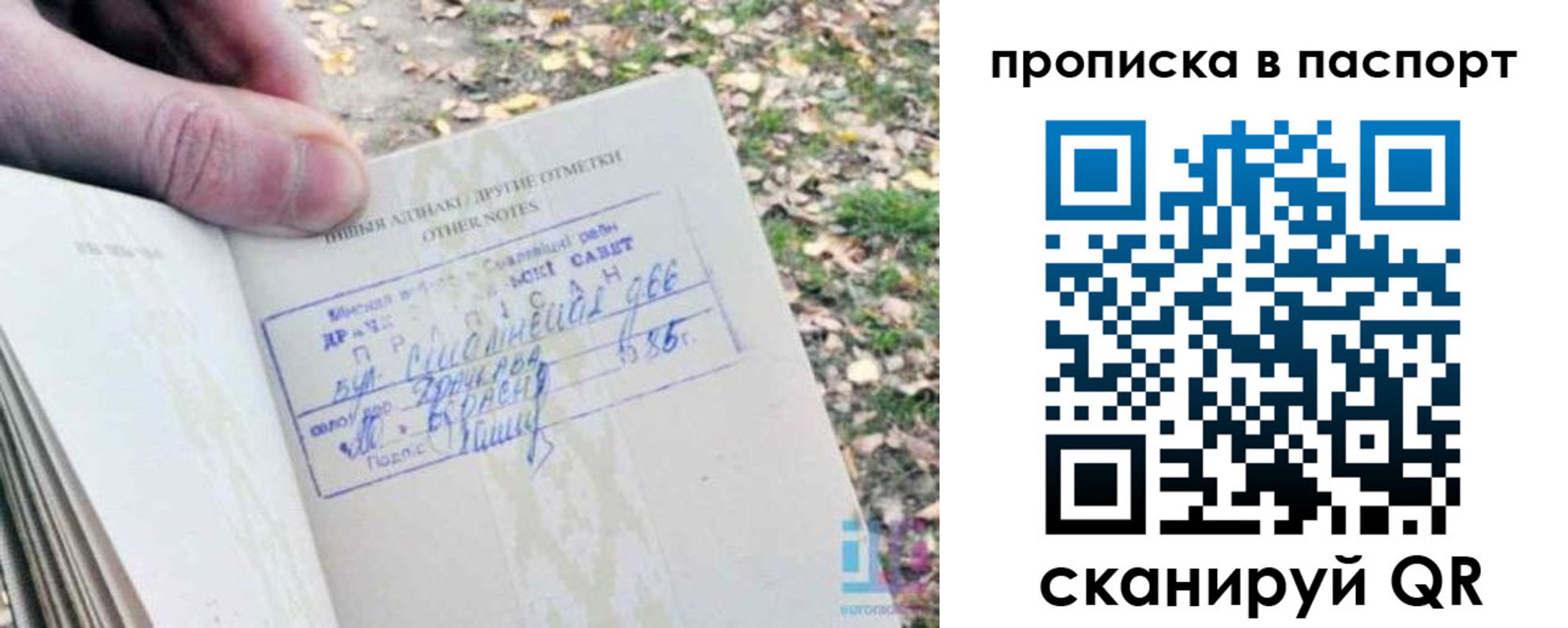 временная регистрация собственник в Кингисеппе